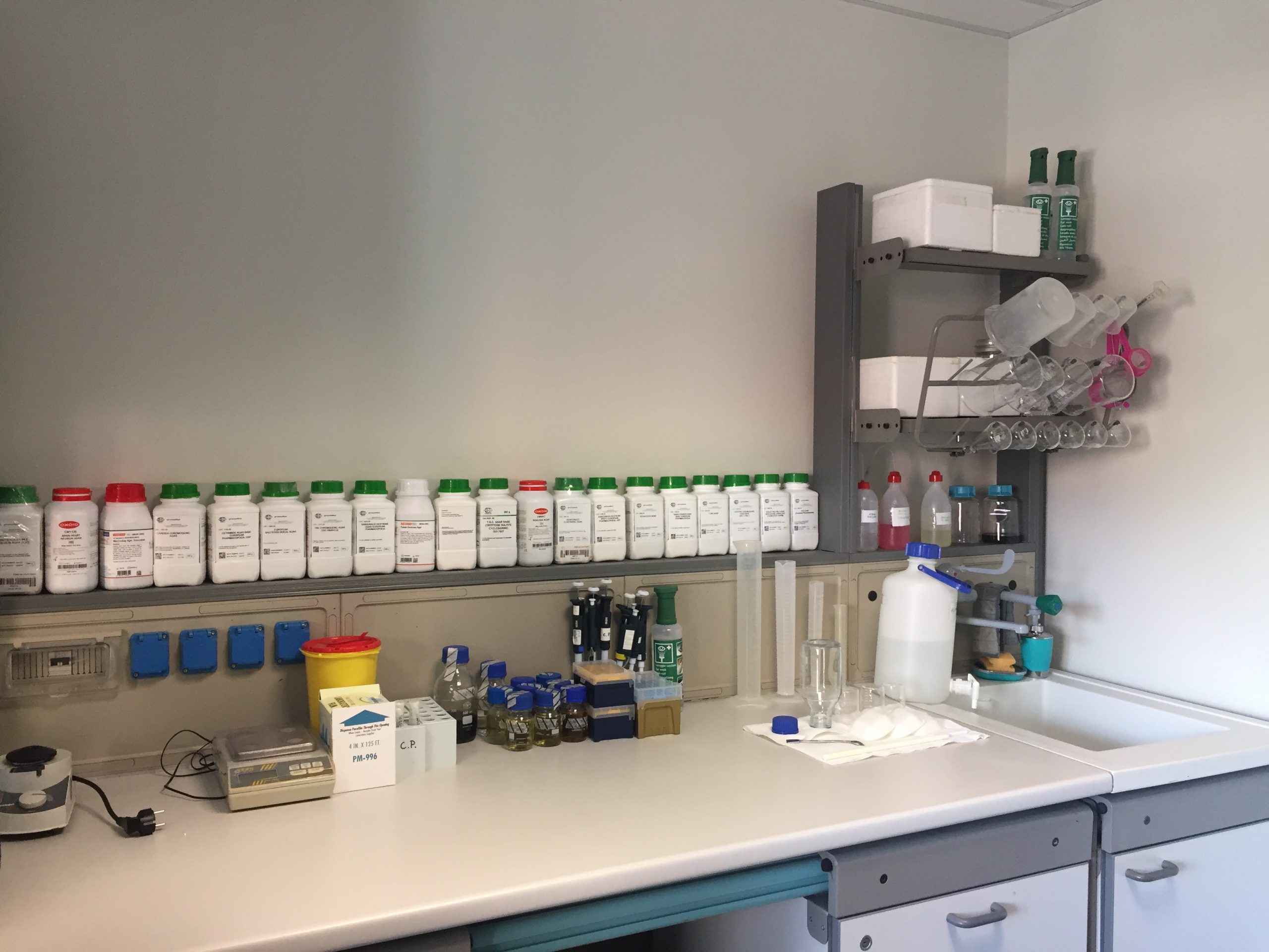 Coronavirus,a che punto è la ricerca:parla Caterina Pagliarulo specialista in microbiologia e virologia