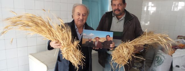 La tecnologia blockchain per garantire sicurezza e autenticità dei grani autoctoni del Mediterraneo