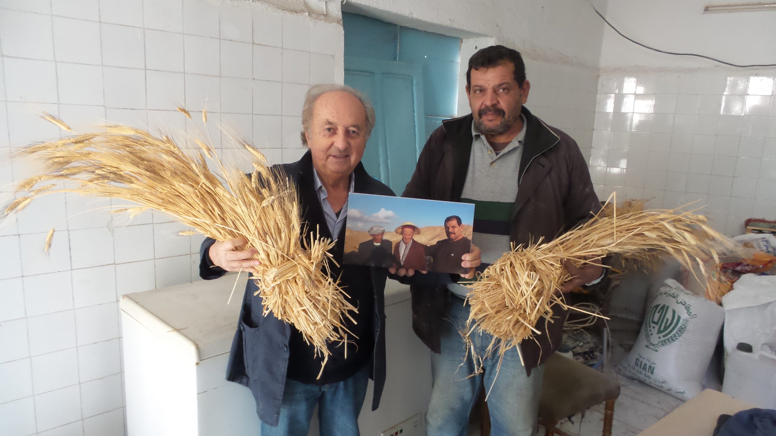 La tecnologia blockchain per garantire sicurezza e autenticità dei grani autoctoni del Mediterraneo