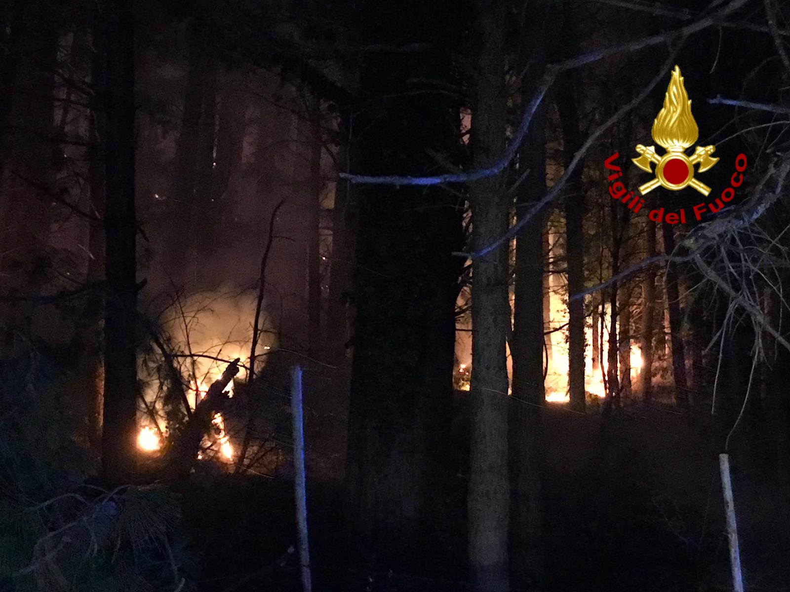 Serino| Vasto incendio boschivo, vigili del fuoco al lavoro con tre squadre