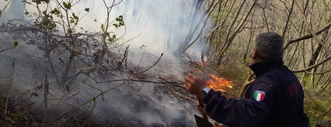 Montella| Incendio boschivo, i carabinieri forestali individuano il responsabile