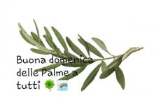 Una domenica delle Palme.. che viaggia sui social