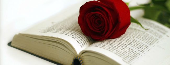 Giornata internazionale del libro: cultura e romanticismo con la leggenda di Sant Jordi
