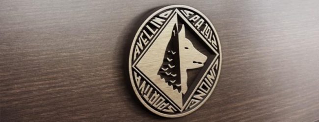 Lega Pro decide di fermarsi, chiederà stop alla Figc. D’Agostino: “Bisogna essere realisti”