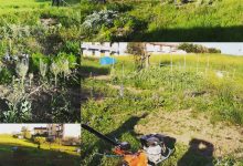 Prosegue a Benevento il progetto degli orti sociali