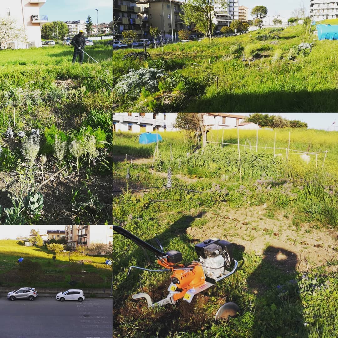 Prosegue a Benevento il progetto degli orti sociali