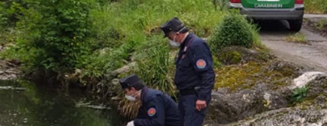 Solofra| Inquinamento del Sarno, multe e denunce per 5 imprenditori conciari