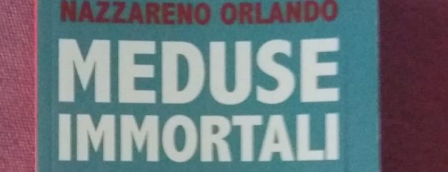 Meduse Immortali: il progetto prosegue