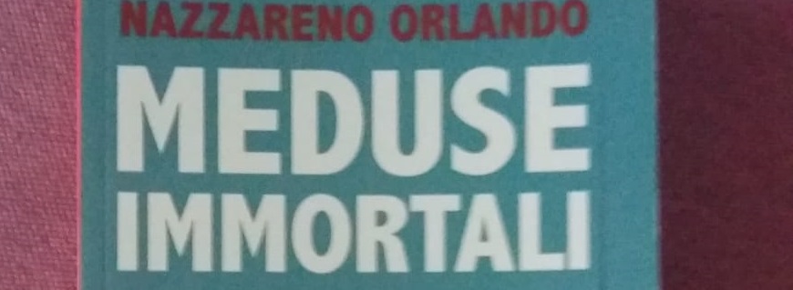 Meduse Immortali: il progetto prosegue