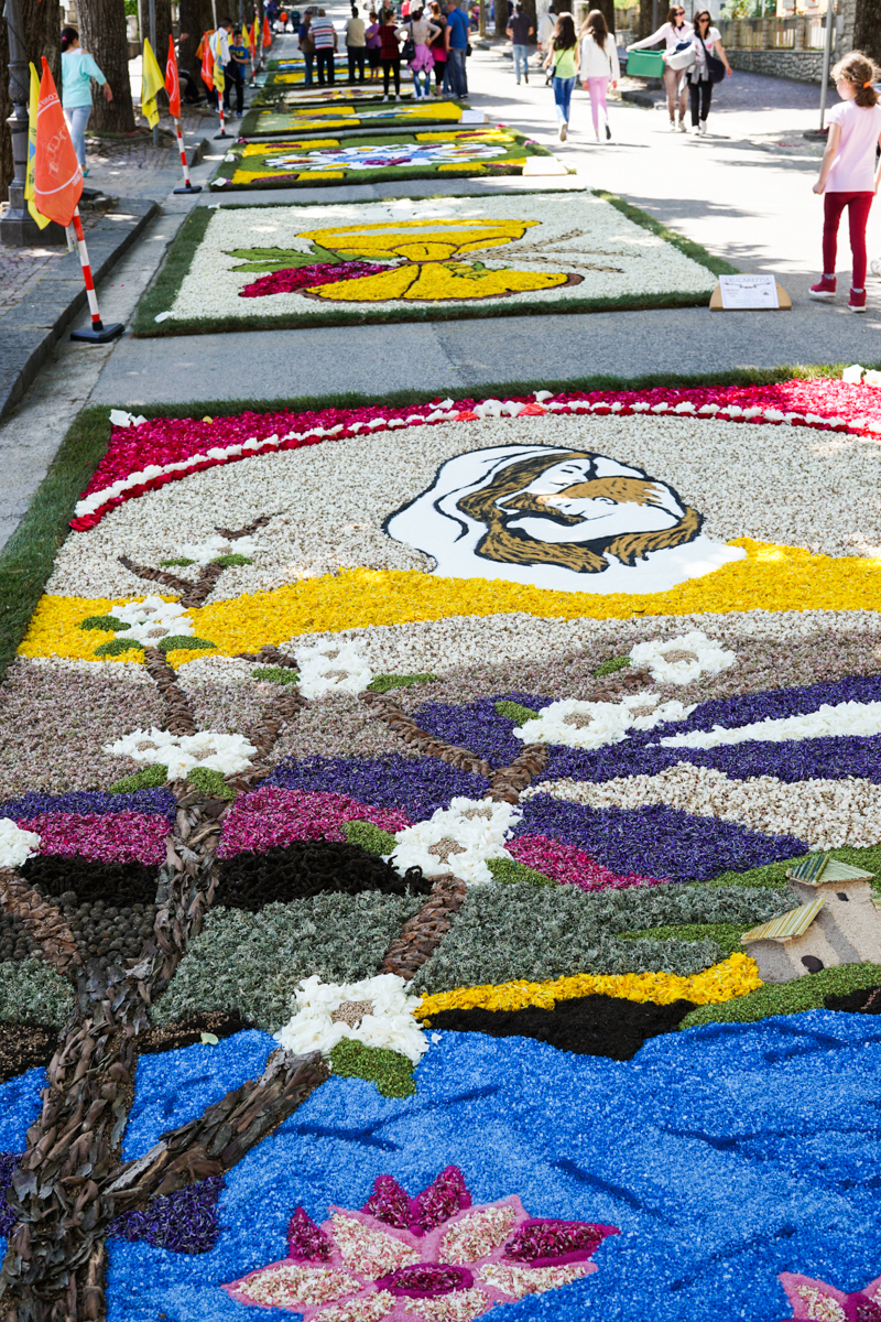 Circello| Salta la tradizionale “l’Infiorata”, si valuta la modalità virtuale