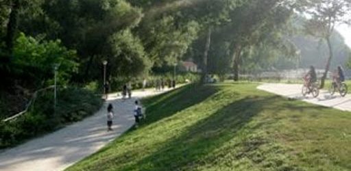 Avellino| Progetto “Cuore Verde”, 35 percettori del reddito di cittadinanza puliranno i parchi verdi in città