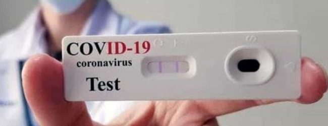 Covid-19, screening sierologico per personale scolastico: ecco come fare