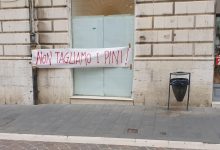 Benevento| No al taglio dei pini, lo striscione di “Fridays for future” a Palazzo Paolo V