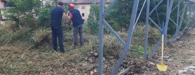 Benevento| Interventi di manutenzione del verde