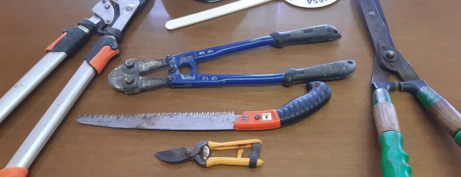 Buonalbergo| I Carabinieri sventano alcuni furti, foglio di via per due uomini