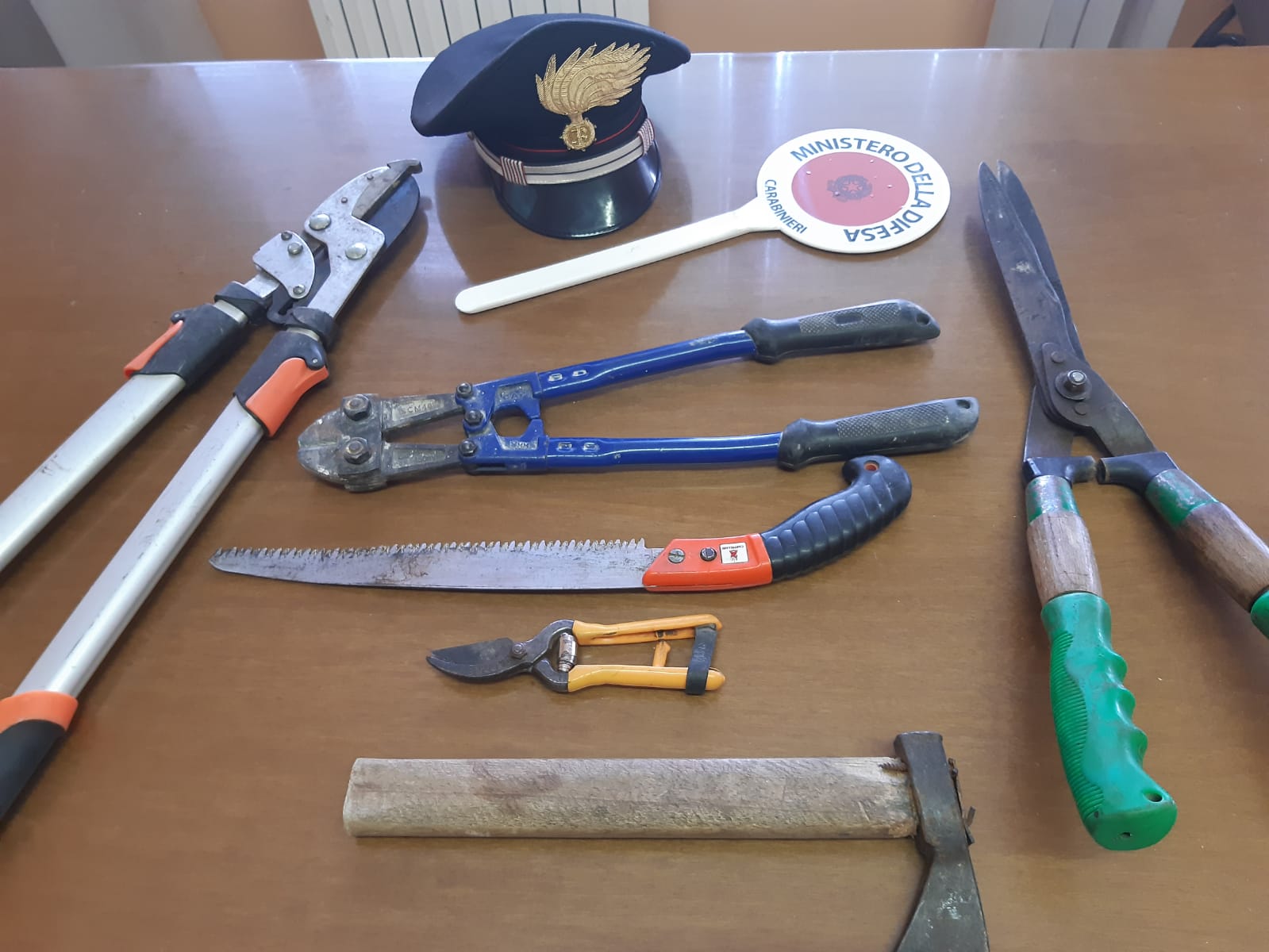 Buonalbergo| I Carabinieri sventano alcuni furti, foglio di via per due uomini