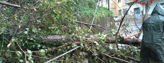 Incendi e maltempo, notte di lavoro per i vigili del fuoco in Irpinia