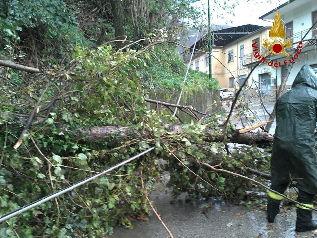 Incendi e maltempo, notte di lavoro per i vigili del fuoco in Irpinia