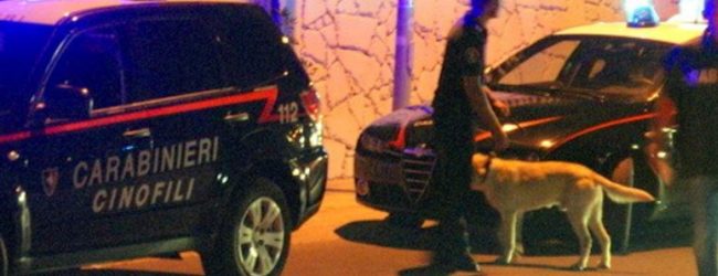 Lioni| Hashish e marijuana, il cane antidroga scopre le dosi nelle case di 3 assuntori