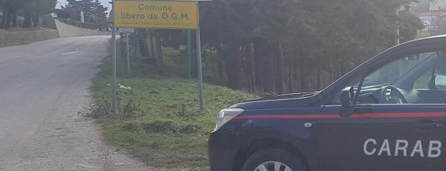 Lacedonia| Numero di telaio e targhe spostati su un’auto rubata, 25enne denunciato per riciclaggio