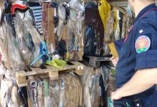 Solofra| Smaltimento illecito di imballaggi contaminati, 4 denunce per una conceria