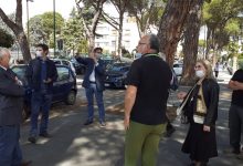 Benevento| Patto Civico, Paglia: non c’è motivo alcuno per abbattere tutti i pini di viale degli Atlantici
