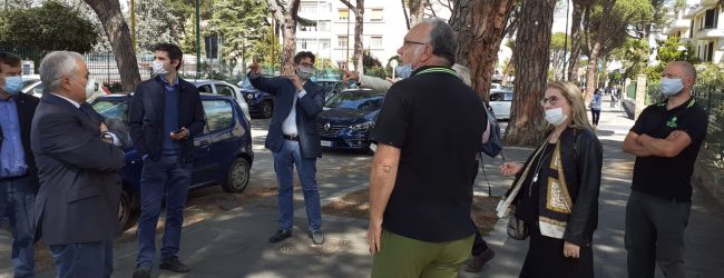 Benevento| Pini , l’esperto Sgherzi: situazione meno grave di quanto appaia