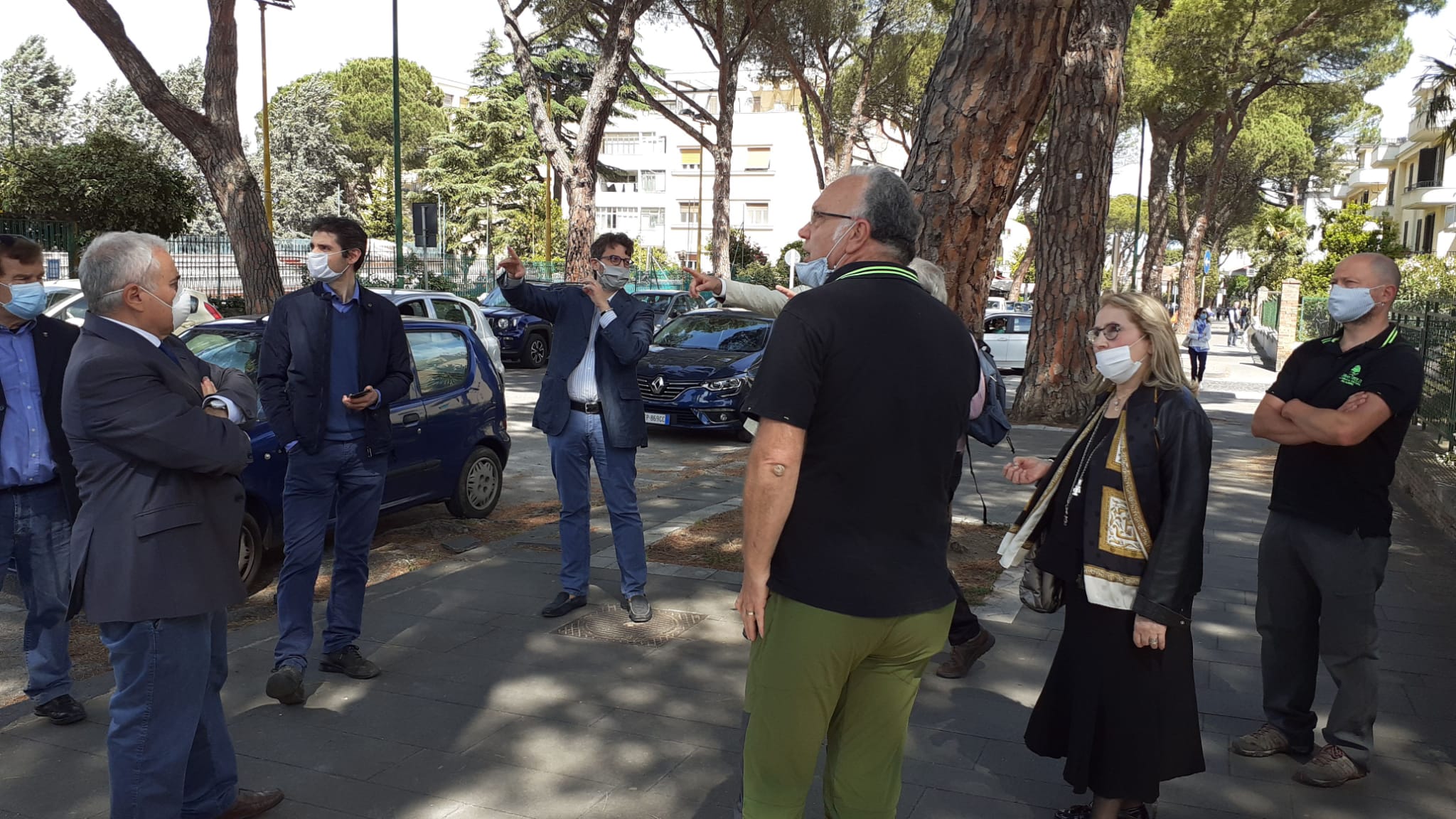 Benevento| Pini , l’esperto Sgherzi: situazione meno grave di quanto appaia