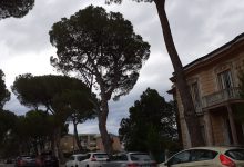 Benevento| Vicenda Pini, botta e risposta tra esperti
