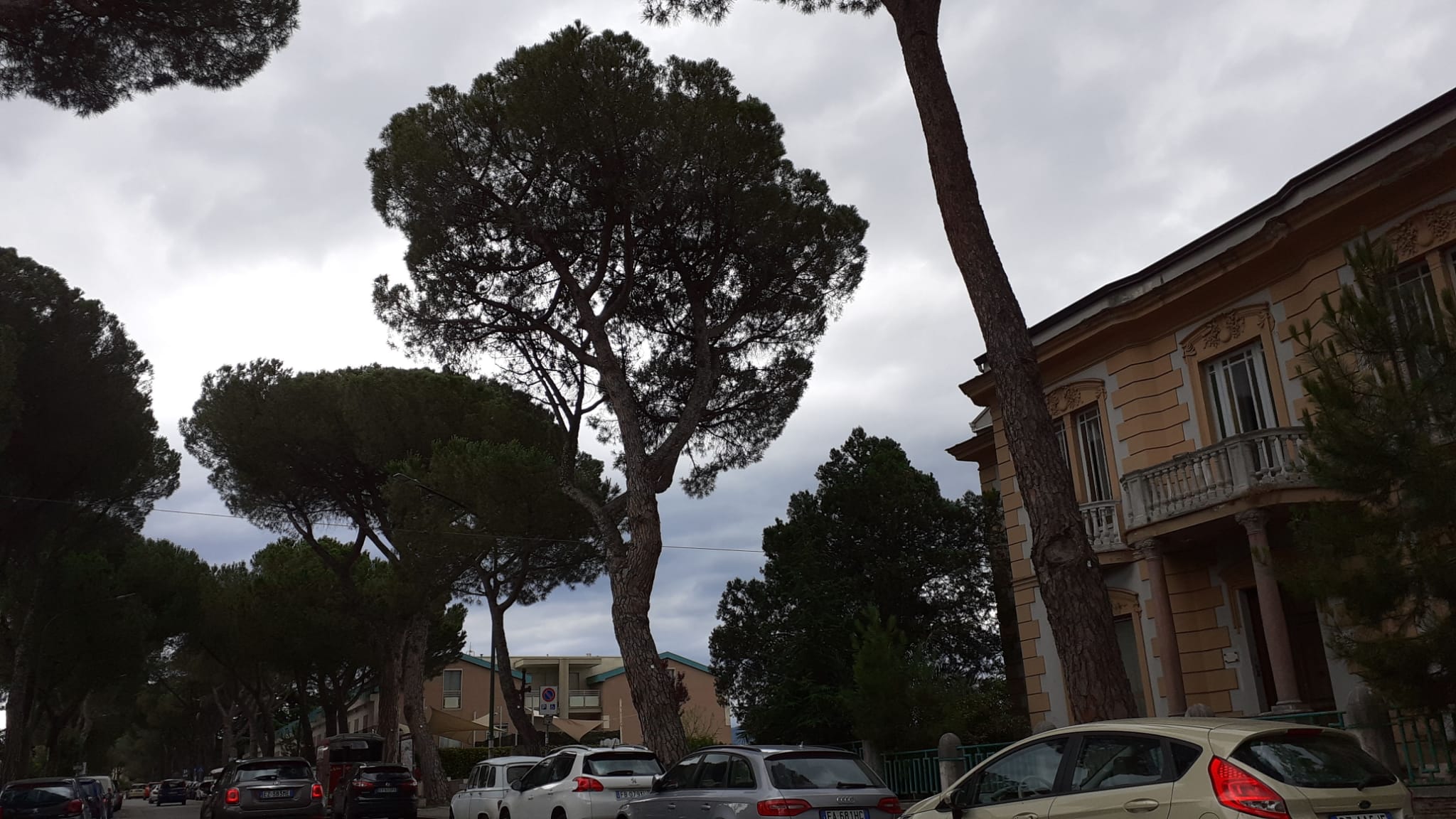 Benevento| Vicenda Pini, botta e risposta tra esperti