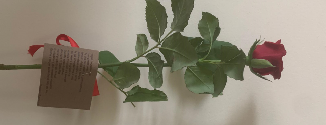 Avellino| Regala rose rosse agli operatori sanitari del Moscati per l’assistenza ricevuta dal padre affetto da covid