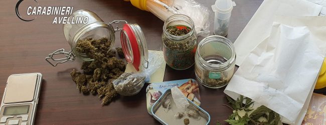 Avellino| Controlli antidroga, la marijuana nei cassetti non sfugge al fiuto di “Tex”: 22enne in carcere
