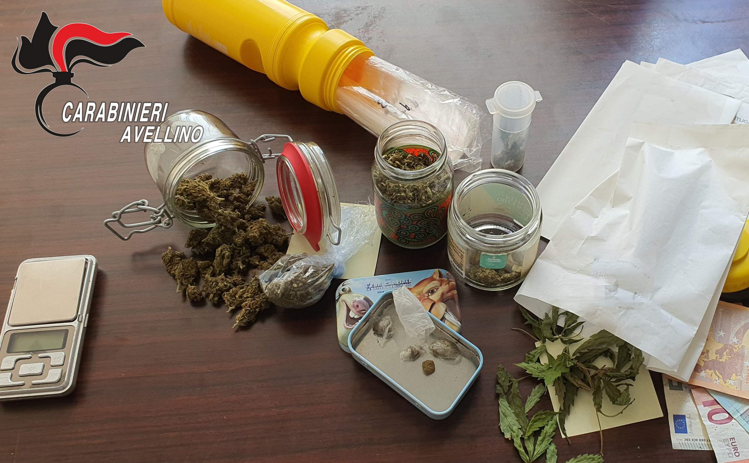 Avellino| Controlli antidroga, la marijuana nei cassetti non sfugge al fiuto di “Tex”: 22enne in carcere