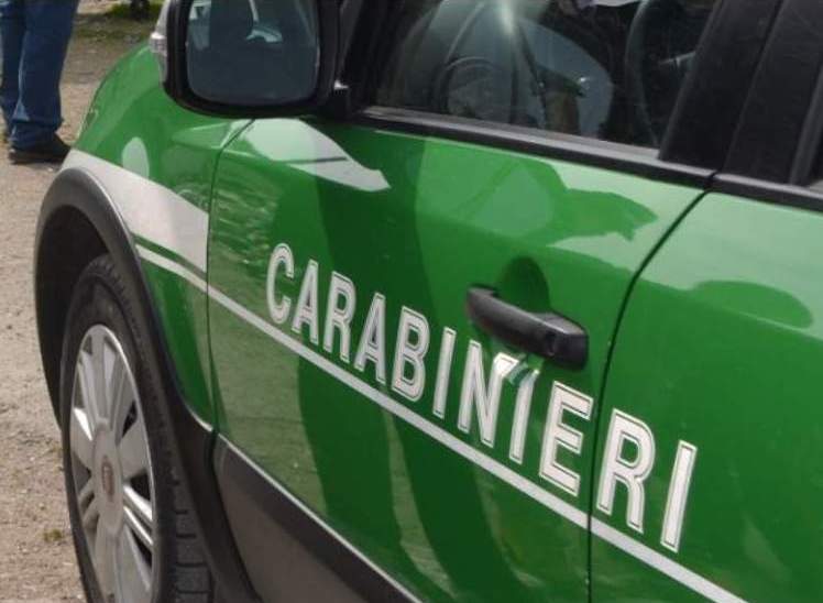 Avellino| Controlli da parte dei Carabinieri da parte del Gruppo Forestale
