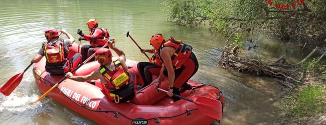 Fiume Volturno: i vigili del fuoco salvano un cane
