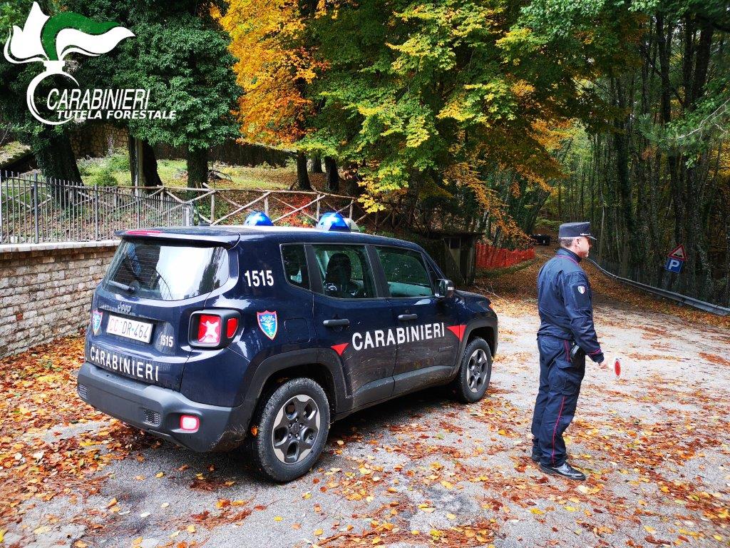 Taburno-Camposauro, controlli dei Carabinieri all’interno del Parco regionale