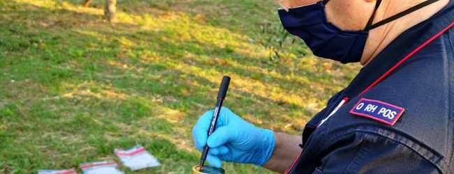 Pannarano| Pozzo inquinato, sequestro e indagini dei Carabinieri Forestali