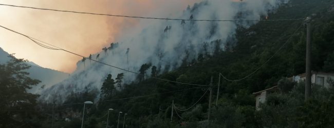 Incendio a Cerreto Sannita, colpita area boschiva