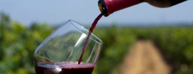 In calo l’export del vino italiano: preoccupazioni e speranze per i DOP tutelati