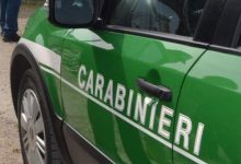 Violazione dei sigilli, furto di energia e gestione illecita dei rifiuti: i carabinieri forestali denunciano tre persone