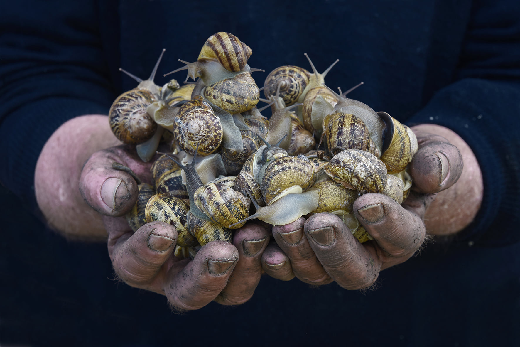 Buonalbergo| Slow is Good 2020 apre con la mostra “Terra buona…scatti di un viaggio”