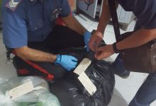 Telese Terme| Forestali, 50 kg di cibo senza indicazione di tracking: chiuso un pub