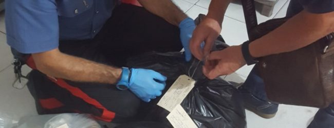 Telese Terme| Forestali, 50 kg di cibo senza indicazione di tracking: chiuso un pub