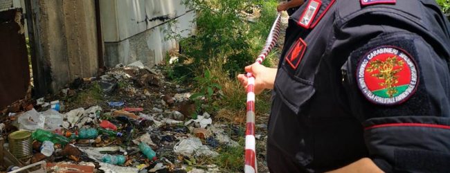 Forestali, sequestri a Melizzano e San Leucio del Sannio