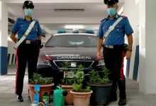 Controlli antidroga in Valle Telesina da parte dei Carabinieri