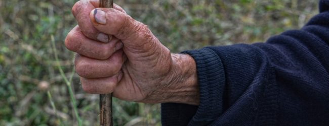 “Slow is good”, dal 4 settembre lentezza e ruralità a Buonalbergo