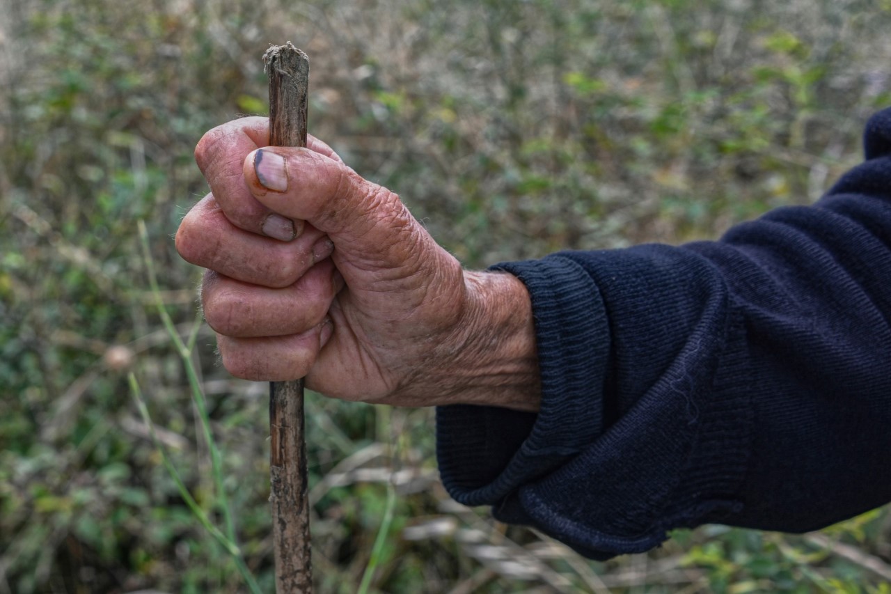 “Slow is good”, dal 4 settembre lentezza e ruralità a Buonalbergo