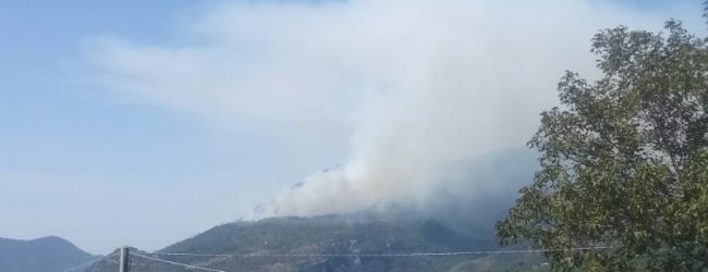 Incendi boschivi sistematici, Potere al Popolo:è un sistema di interessi privati, è ora di distruggerlo