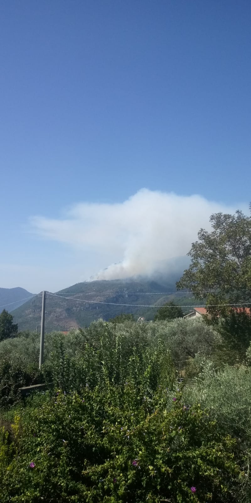 Incendi boschivi sistematici, Potere al Popolo:è un sistema di interessi privati, è ora di distruggerlo