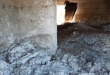 Apice| Forestali: sequestrato manufatto adibito a deposito di reflui zootecnici a servizio di un allevamento avicolo